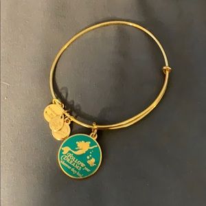 Alex and Ani Disney Bracelet